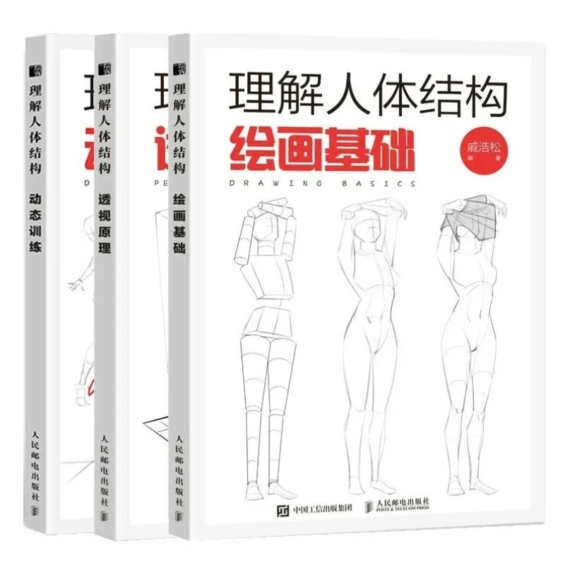 Photography Architecture - Understanding Human Body Structure: Dynamic Training