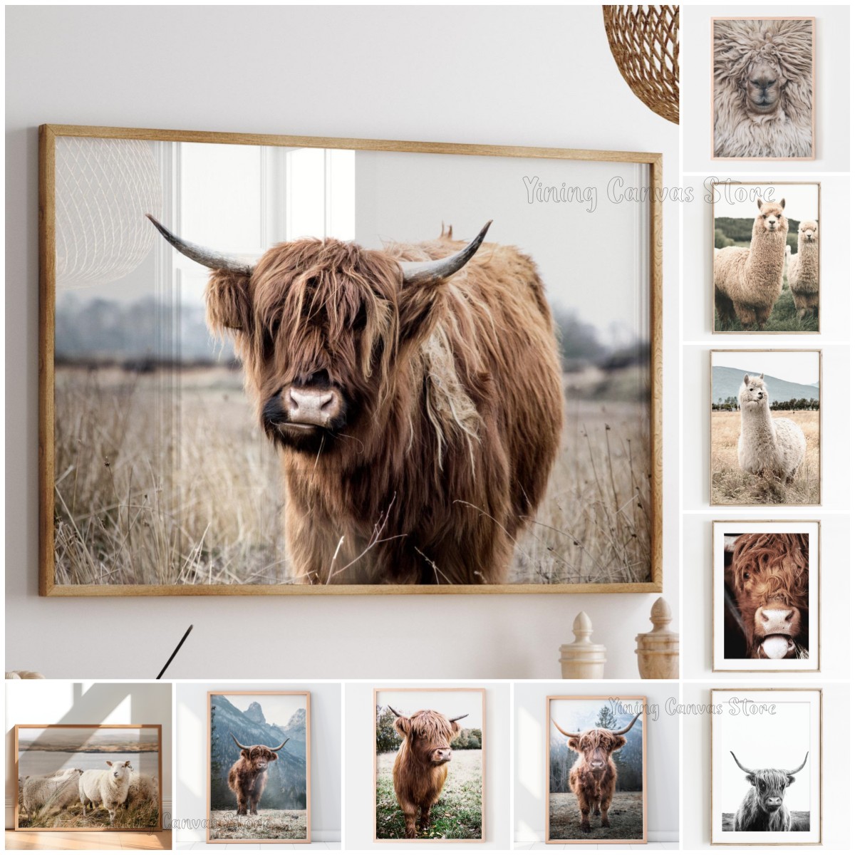 Scottish Highland Cow Wild Ani - Photography Landscape review and price