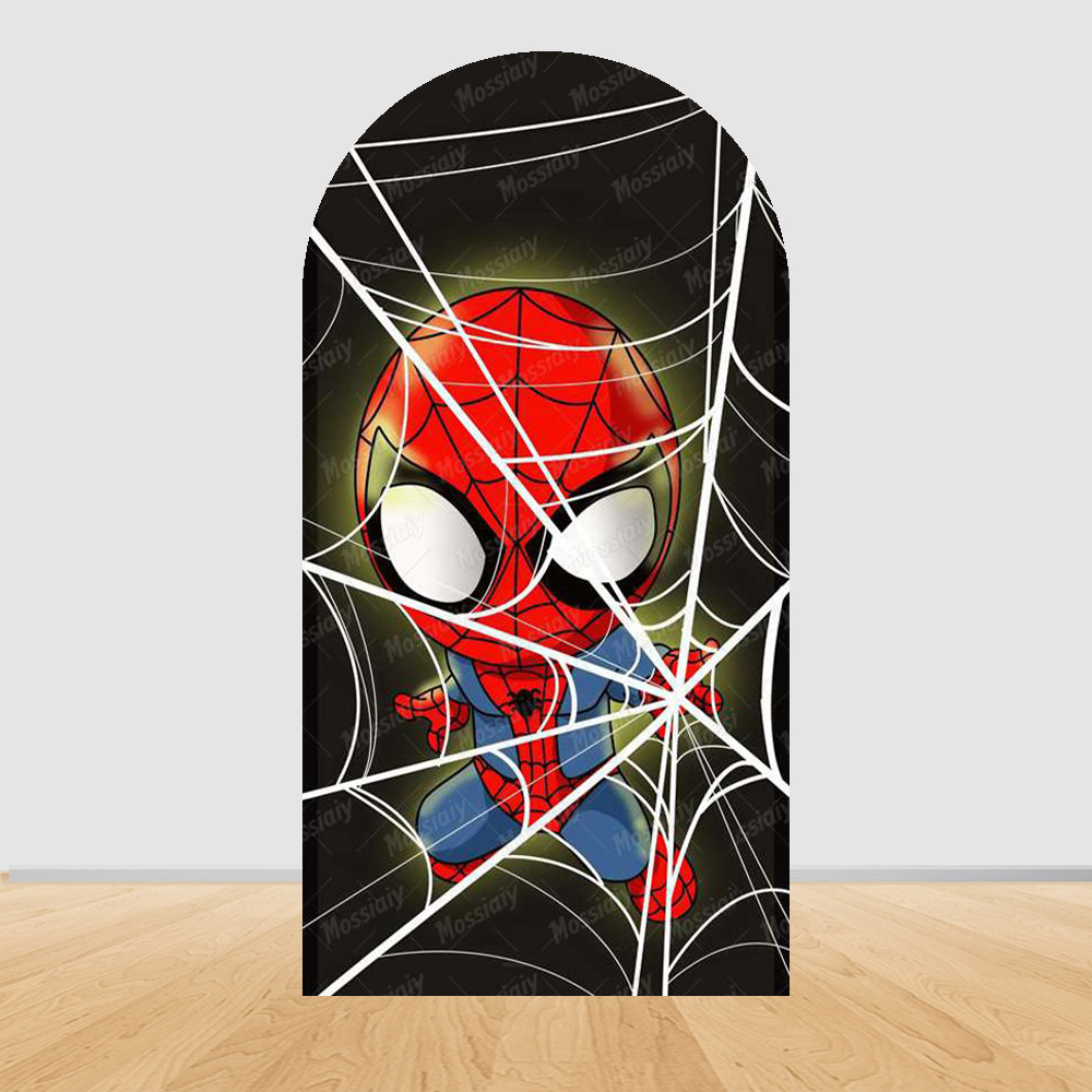 Spider-Man and Amazing Friends - Photography Of A Man review and price